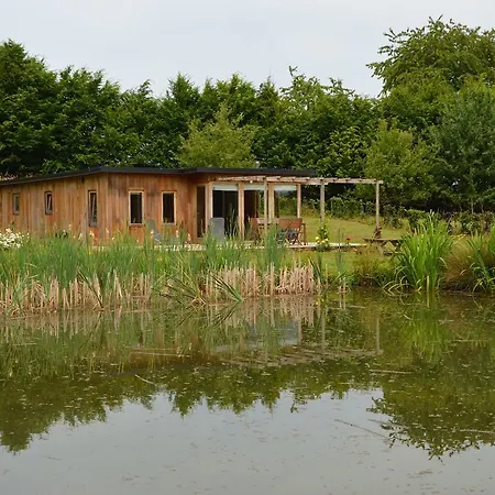 Koi Paradise * Walcourt