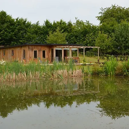 Koi Paradise * Walcourt