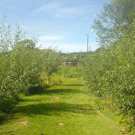 Casa vacanze Koi Paradise *